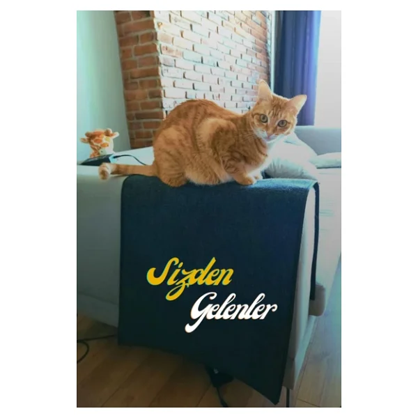 Bypet Koltuk Kenarı Koruyucu Kedi Tırmalama Halısı (50 Cm X 100 Cm) Koltuk Tırmalama Halısı - Görsel 2