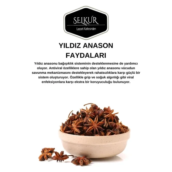 Selkur Yıldız Anason 50 Gr - Görsel 4