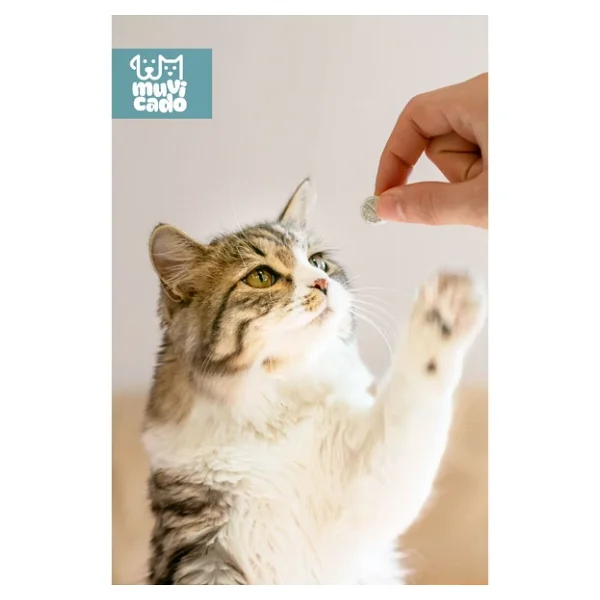 Muvicado Kedi Köpek Herbal Worm Stop Bitkisel Tablet 250 Mg+ Anti Spot On Bitkisel Damla 1 Ml Bit Pire Kene - Görsel 6