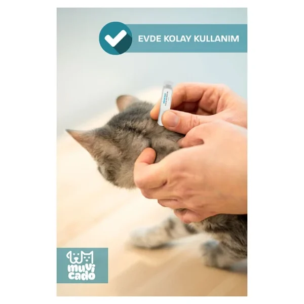 Muvicado Kedi Köpek Herbal Worm Stop Bitkisel Tablet 250 Mg+ Anti Spot On Bitkisel Damla 1 Ml Bit Pire Kene - Görsel 8
