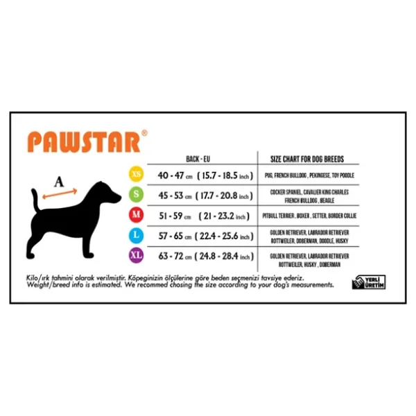 Pawstar Gri Colombia Orta Ve Büyük Irk Köpek Yağmurluğu Köpek Kıyafeti Köpek Elbisesi - Görsel 8