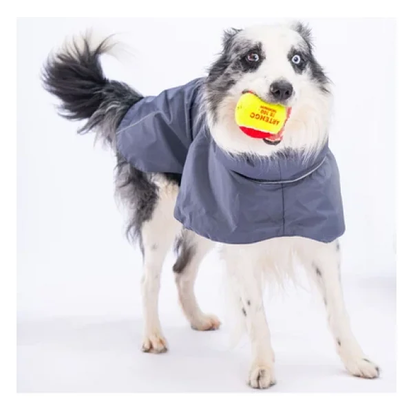 Pawstar Gri Colombia Orta Ve Büyük Irk Köpek Yağmurluğu Köpek Kıyafeti Köpek Elbisesi - Görsel 2