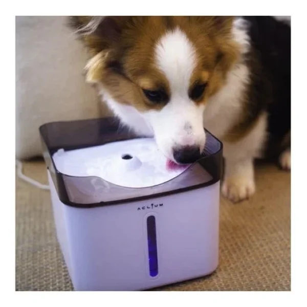 Aclium Köpek Su Sebili 2.4 L - Görsel 4