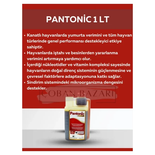 Royal İlaç Pantonic Pigeon Plus 1 Lt Güvercin Ve Kafes Kuşları İçin Multivitamin - Görsel 3