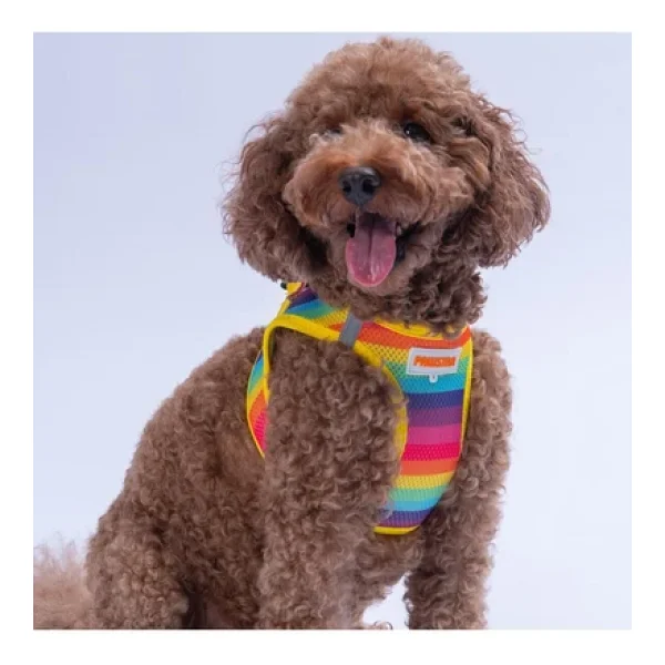 Pawstar Rainbow Air-Mesh Göğüs Tasması Kedi Köpek Göğüs Tasması Gökkuşağı Desenli Köpek Tasması - Görsel 2