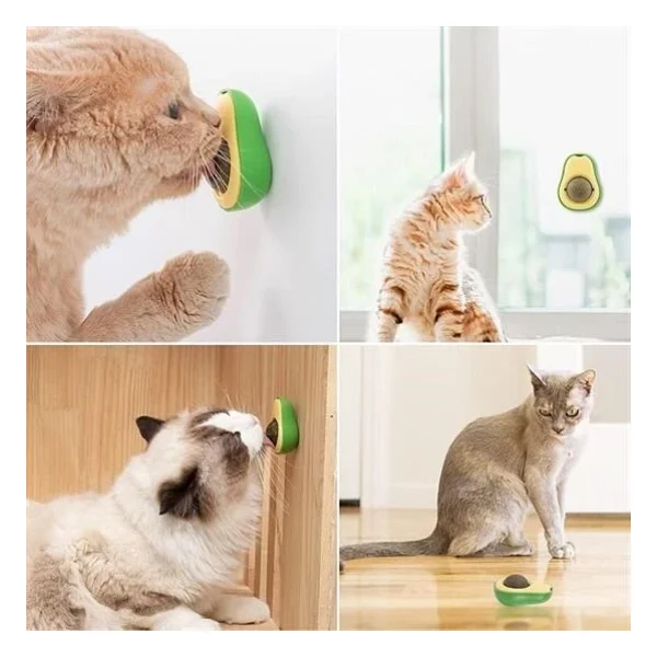 Buffer Avokado Model Yapışkanlı Kedi Oyuncağı Yenilebilir Kedi Nanesi Otu - Görsel 4