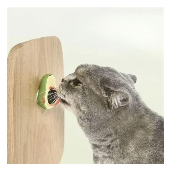 Buffer Avokado Model Yapışkanlı Kedi Oyuncağı Yenilebilir Kedi Nanesi Otu - Görsel 3