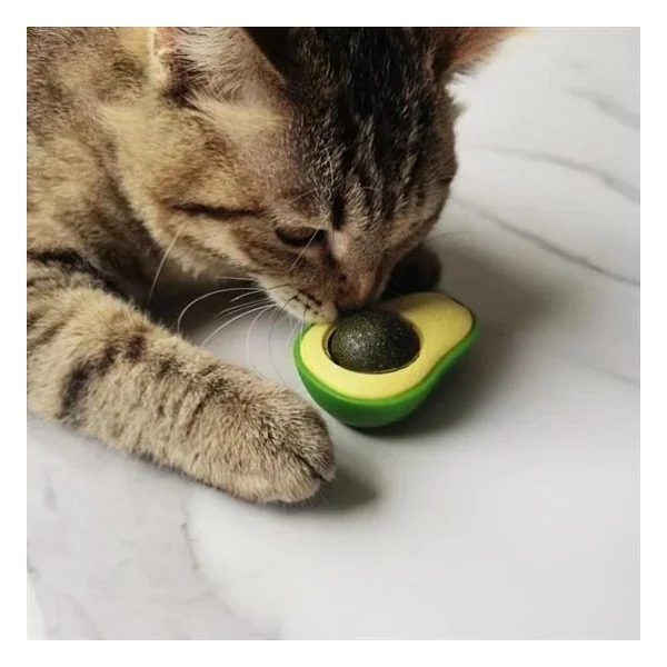 Buffer Avokado Model Yapışkanlı Kedi Oyuncağı Yenilebilir Kedi Nanesi Otu - Görsel 2
