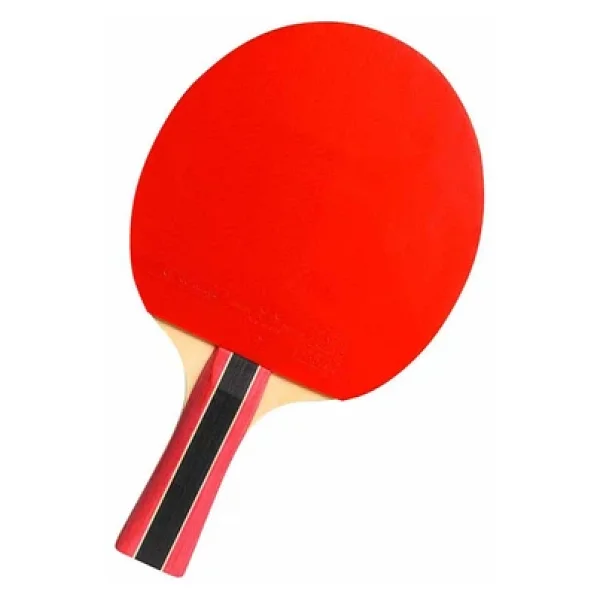 Cornilleau Sport 300 Ittf Onaylı Masa Tenisi Raketi - Görsel 2