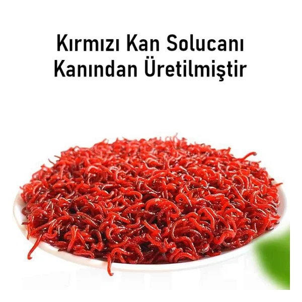 Valkyrie Balık Çekici Aroma 60 Ml Sıvı Attractor Güçlü Yem Katkısı Yem Güçlendirici - Görsel 5