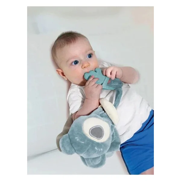 Babyjem 680 Diş Kaşıyıcılı Uyku Arkadaşım Ayıcık Yeşil - Görsel 6