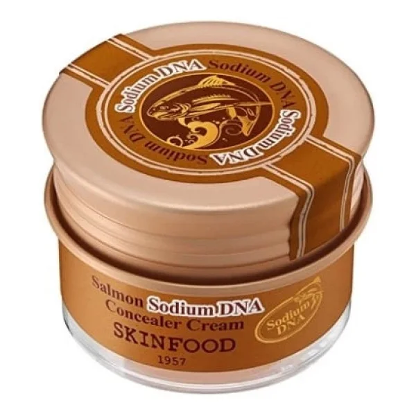 Skinfood Salmon Sodium Dna No.1 Vanilla 10 Gr Krem Kapatıcı - Görsel 5