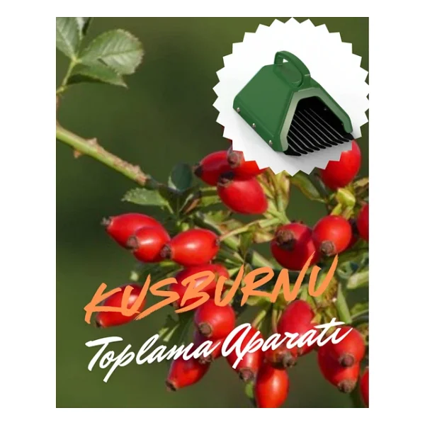 Blue Berry , Aronya , Kuşburnu Ve Meyve Toplama Tarağı Plastik Bsr Garden Turuncu - Görsel 3