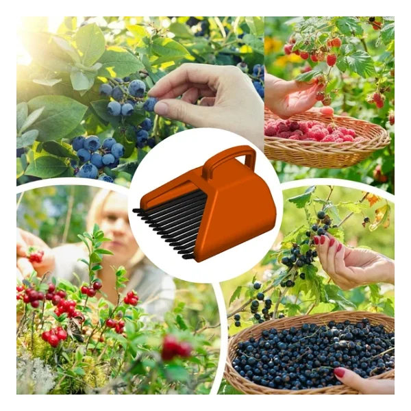 Blue Berry , Aronya , Kuşburnu Ve Meyve Toplama Tarağı Plastik Bsr Garden Turuncu - Görsel 4