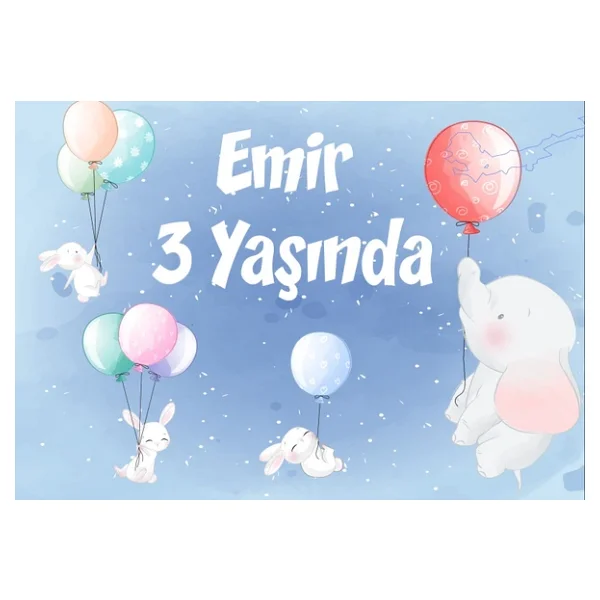 Balon Ve Filler Doğum Günü Afişi - 35x50 Cm - Görsel 3