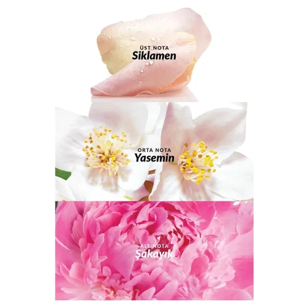 Avon Celebre Edt 50 Ml Kadın Parfüm - Görsel 5