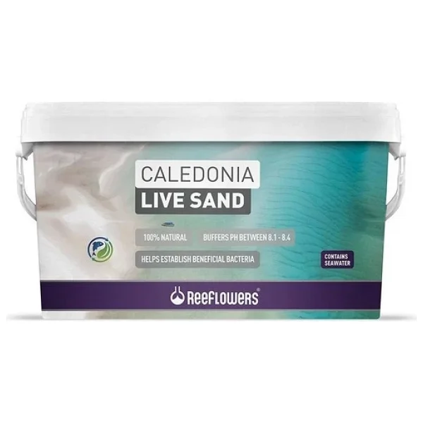Reeflowers Caledonia Live Sand White 18 Kg Deniz Akvaryumları İçin Canlı Kum - Görsel 4