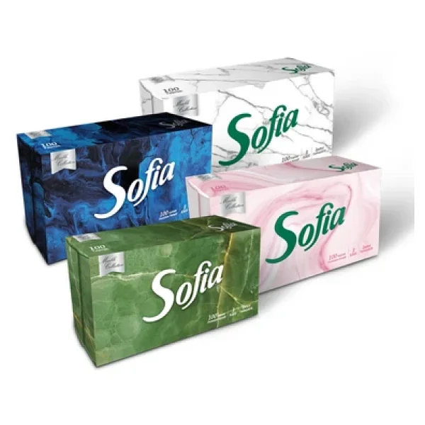Sofia Mendil Kutu 100'lu 4 Adet - Görsel 3