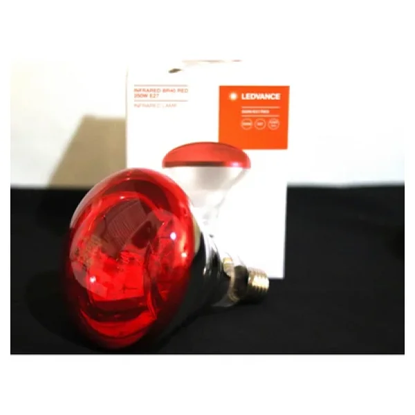 Ledvance 250w Br40 Infrared Isıtıcı Ampul E27 Kırmızı - Görsel 3