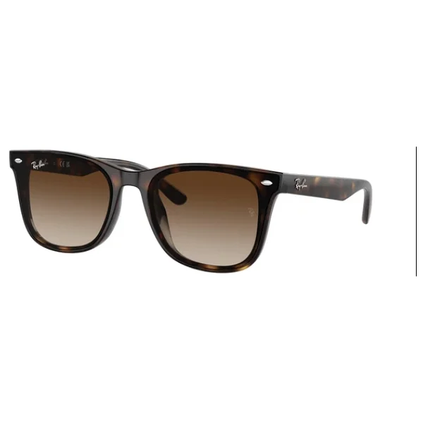 Ray-Ban 4420 710/13 Havana-Brown Güneş Gözlüğü - Görsel 4