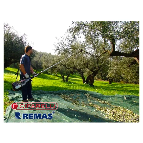 Cifarelli Sc 605 Zeytin Silkeleme Makinesi - Görsel 4