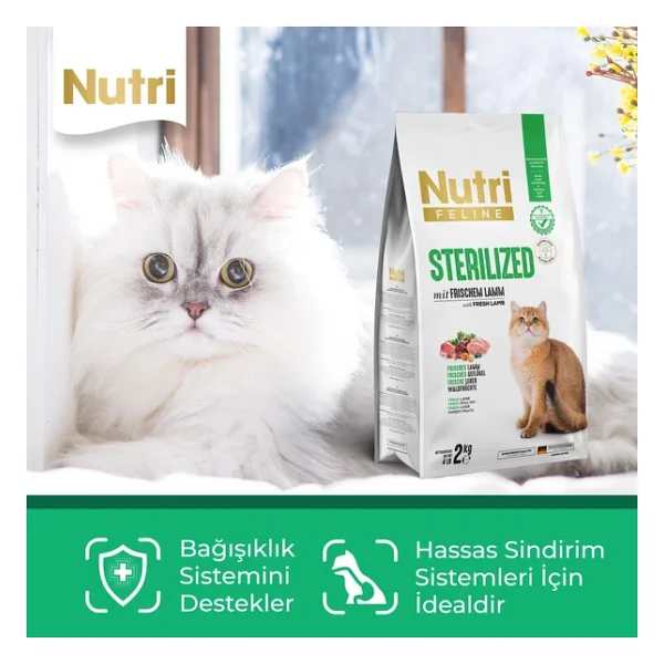 Nutri Feline Sterilised Kuzu Etli 10 Kg Kısırlaştırılmış Yetişkin Kedi Maması - Görsel 7
