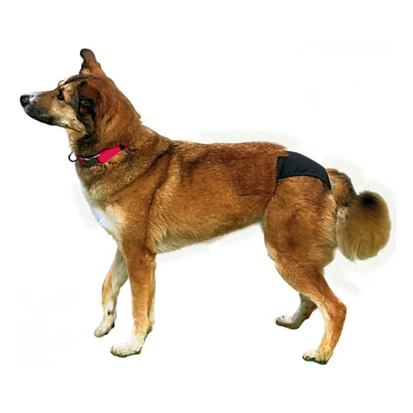 Trixie Hijyenik Köpek Külodu M 40-49 Cm, Siyah - Görsel 6