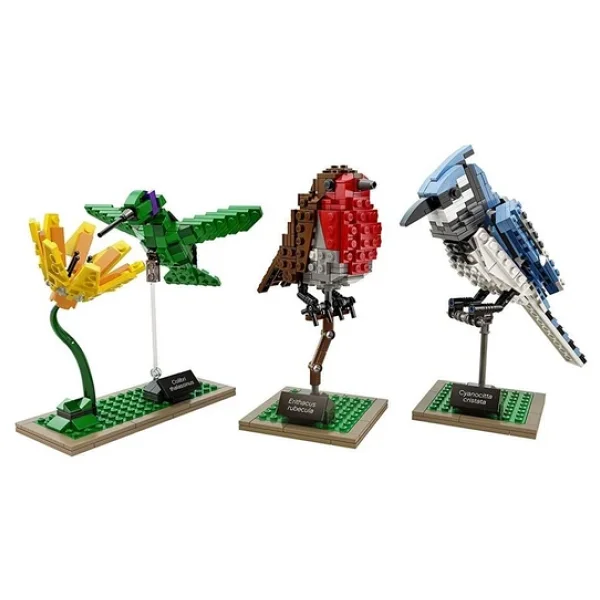 Lego 21301 Ideas Birds - Görsel 7
