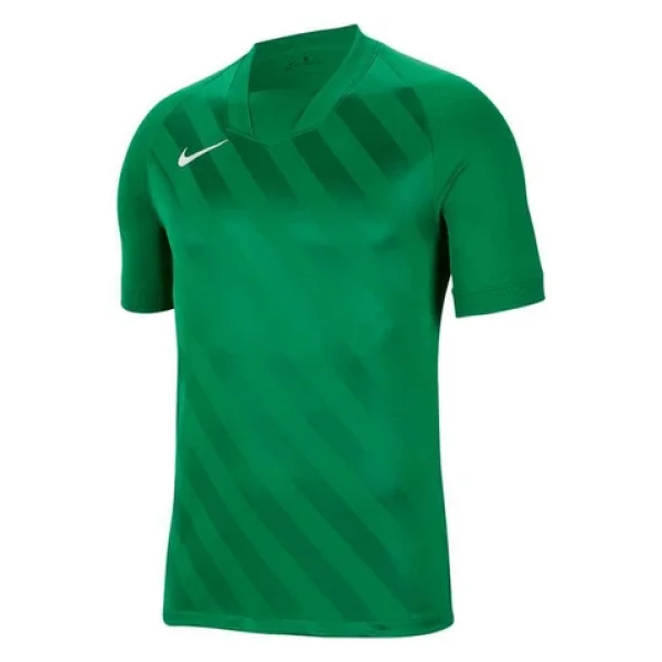 Nike Dry Jersey Challenge Iıı Bv6703-302 Yeşil Erkek Futbol Forması - Görsel 5