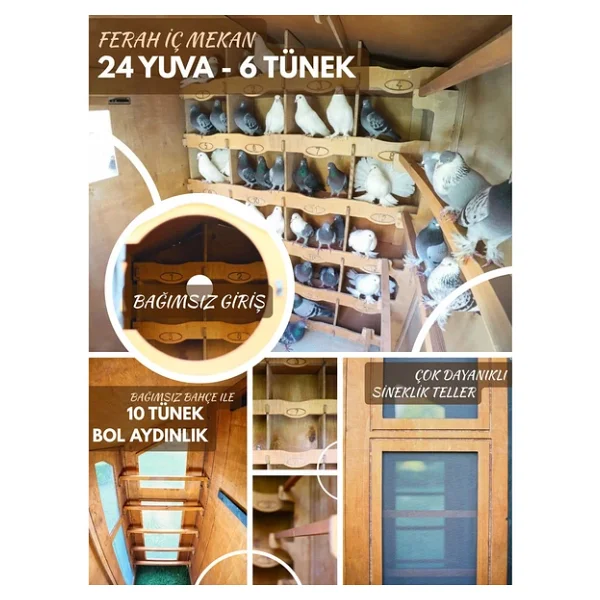 Mandu Ahşap Güvercin Kümesi - Görsel 7