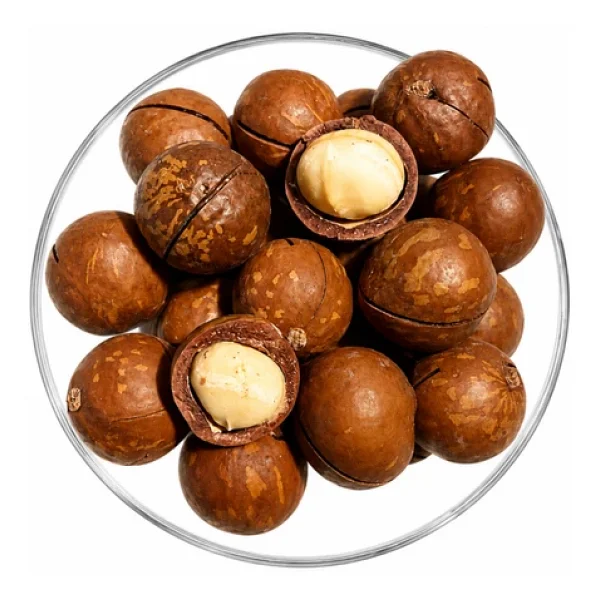 Makademya Fındığı 500 Gram - Görsel 2