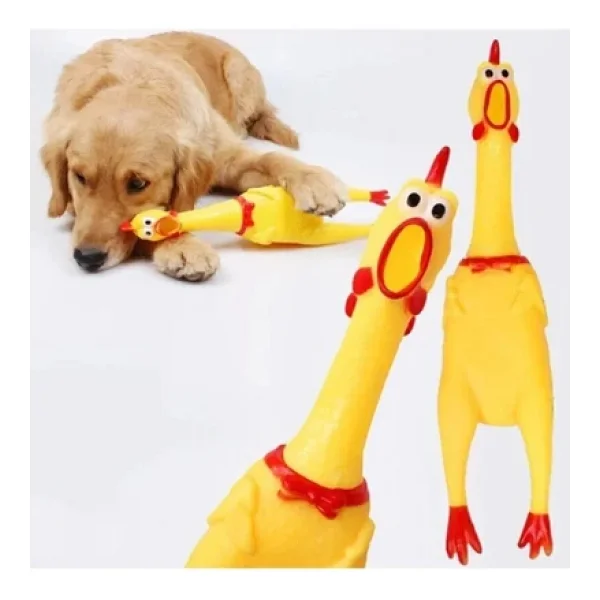 Pribor Öten Çığlık Atan Horoz Tavuk Civciv Köpek Kedi Için Bağıran Sesli Oyuncak M Boy 30 Cm - Görsel 5
