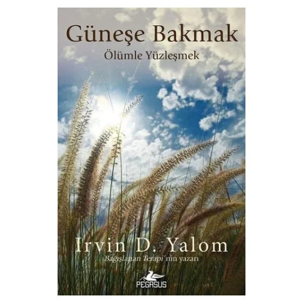 Güneşe Bakmak - Ölümle Yüzleşmek - Irvin D. Yalom - Görsel 4