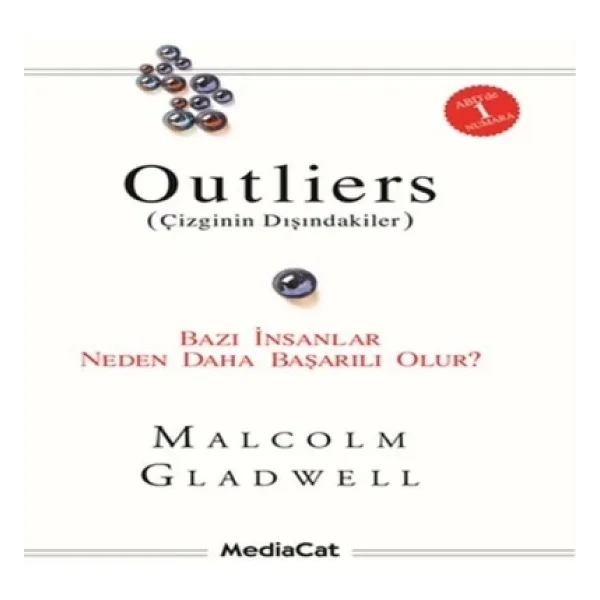 Outliers (Çizginin Dışındakiler) - Bazı İnsanlar Neden Daha Başarılı Olur? - Malcolm Gladwell - Görsel 7
