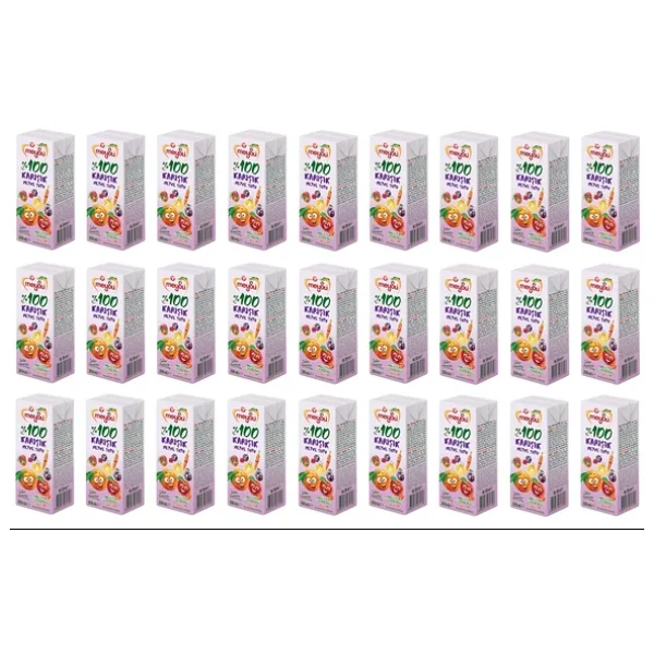 Meysu %100 Karisik Meyve Suyu 200 Ml X 27 Adet - Görsel 3