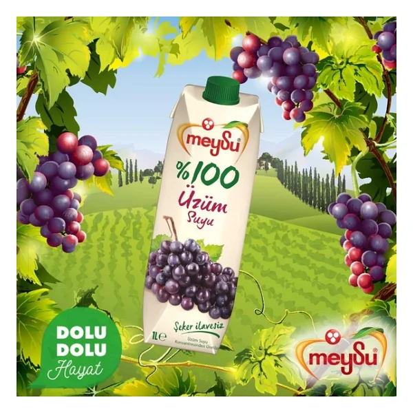 Meysu %100 Uzum Suyu 1 Lt X 6 Adet - Görsel 5