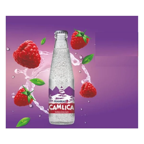 Camlica Frambuaz Aromali Gazoz 200 Ml X 24 Adet - Görsel 4