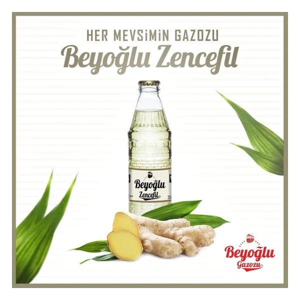 Beyoğlu 250 Ml 24'lü Zencefilli Gazoz - Görsel 4