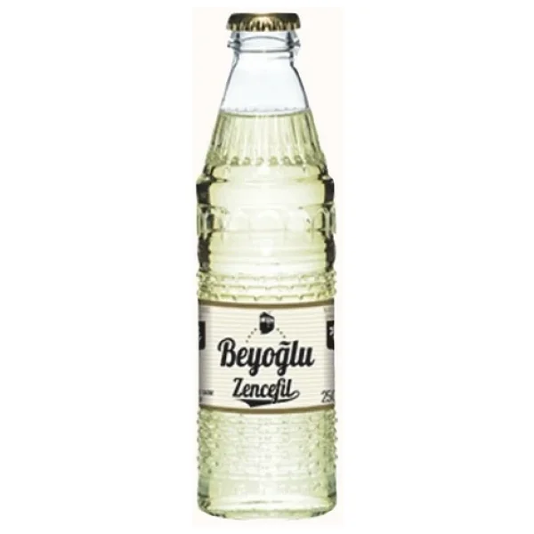 Beyoğlu 250 Ml 24'lü Zencefilli Gazoz - Görsel 5