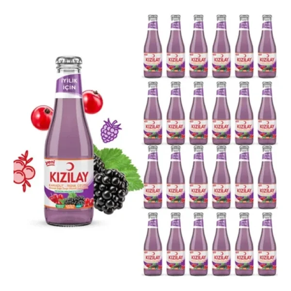 Kızılay Karadut Frenk Üzümlü Maden Suyu 6x200 Ml - Görsel 4