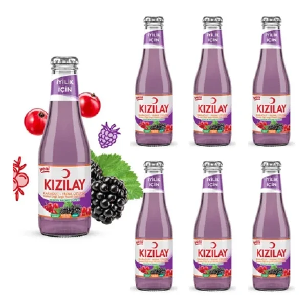 Kızılay Karadut Frenk Üzümlü Maden Suyu 6x200 Ml - Görsel 3