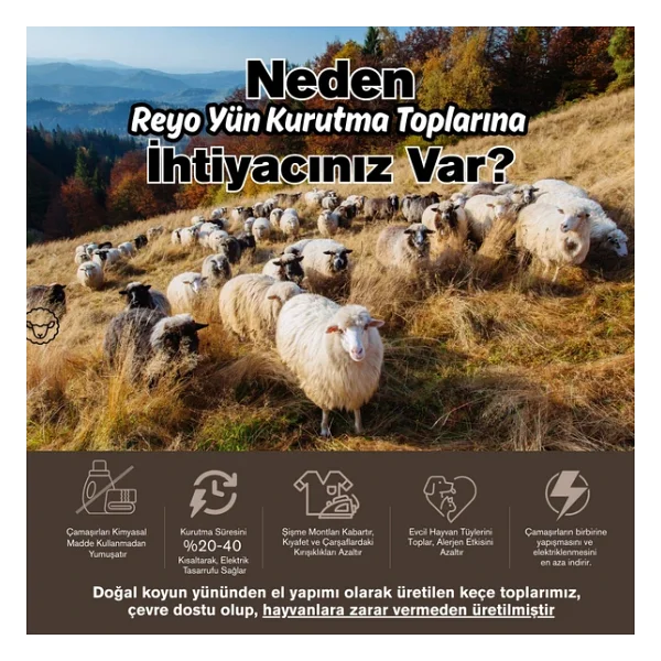 Reyo %100 Saf Yün Kurutma Makinesi Topu 6'lı Set - L Boy Kahverengi - Kimyasalsız Doğal Yumuşatıcı Ve Antistatik Etki - Görsel 2