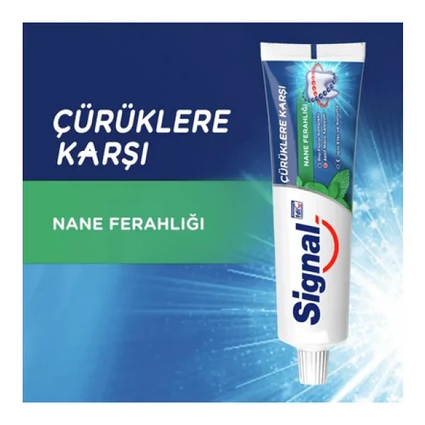 Signal Çürüklere Karşı Nane Ferahlığı 100 Ml 12 Adet Florürlü Diş Macunu - Görsel 5