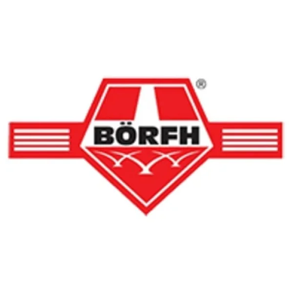 Börfh 300 Ml Dizel Enjektör Temizleyici - Görsel 3