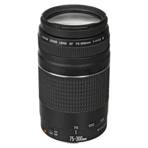 Canon EF 75-300mm f/4-5.6 III Lens - Görsel 5