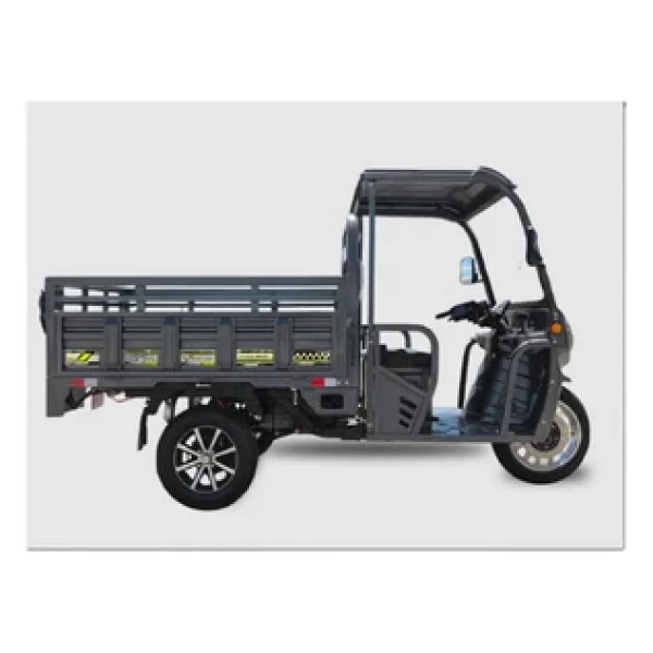 Sfm Express Max 1500 W 3 Tekerlekli Kabinli Elektrikli Motosiklet - Görsel 7