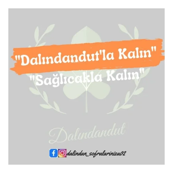 Dalındandut Doğal Zencefil Tozu 100 Gr - Görsel 2