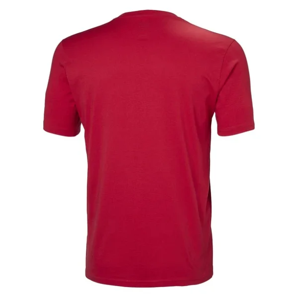 Helly Hansen Hh Logo Hha.33979 Kısa Kollu Bisiklet Yaka Erkek Tişört - Görsel 10