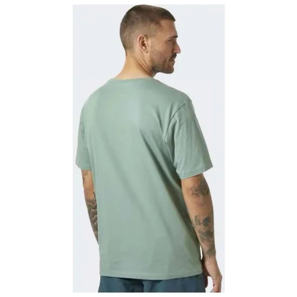 Helly Hansen Hh Logo Hha.33979 Kısa Kollu Bisiklet Yaka Erkek Tişört - Görsel 9