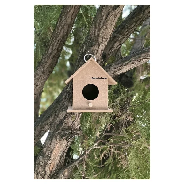 Buradadavar Hobi Ahşap Ahşap Kuş Evi Yuvası 10'lu - Görsel 4